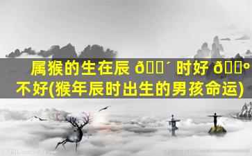属猴的生在辰 🐴 时好 🐺 不好(猴年辰时出生的男孩命运)